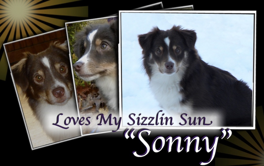 Loves My Sizzlin Sun Sonny